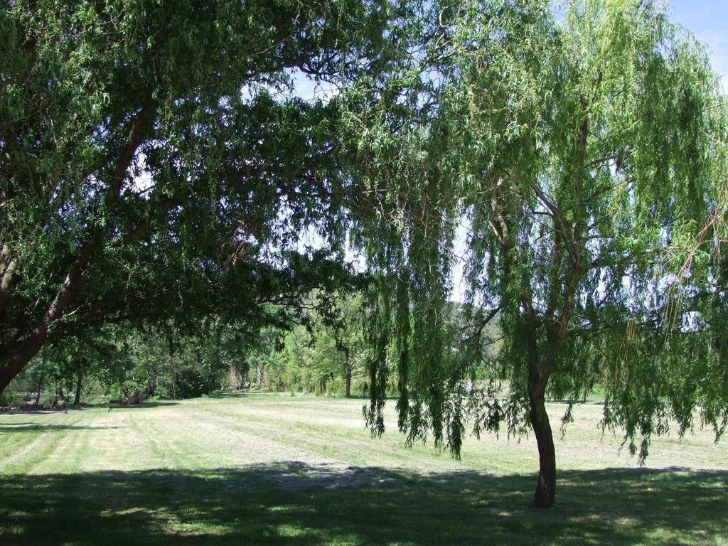 La Magnanerie D'Hotes ,Le Jardin Secret Sauve Eksteriør bilde